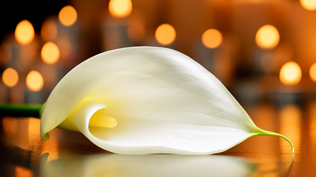 Sympathy Flowers Dublin Delivery